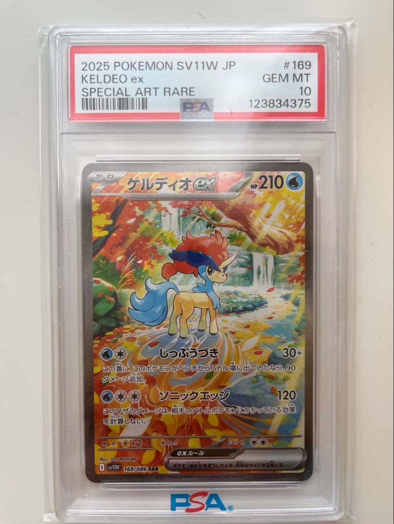 激レア　【PSA10】ゲルディオex 【安心鑑定可能】