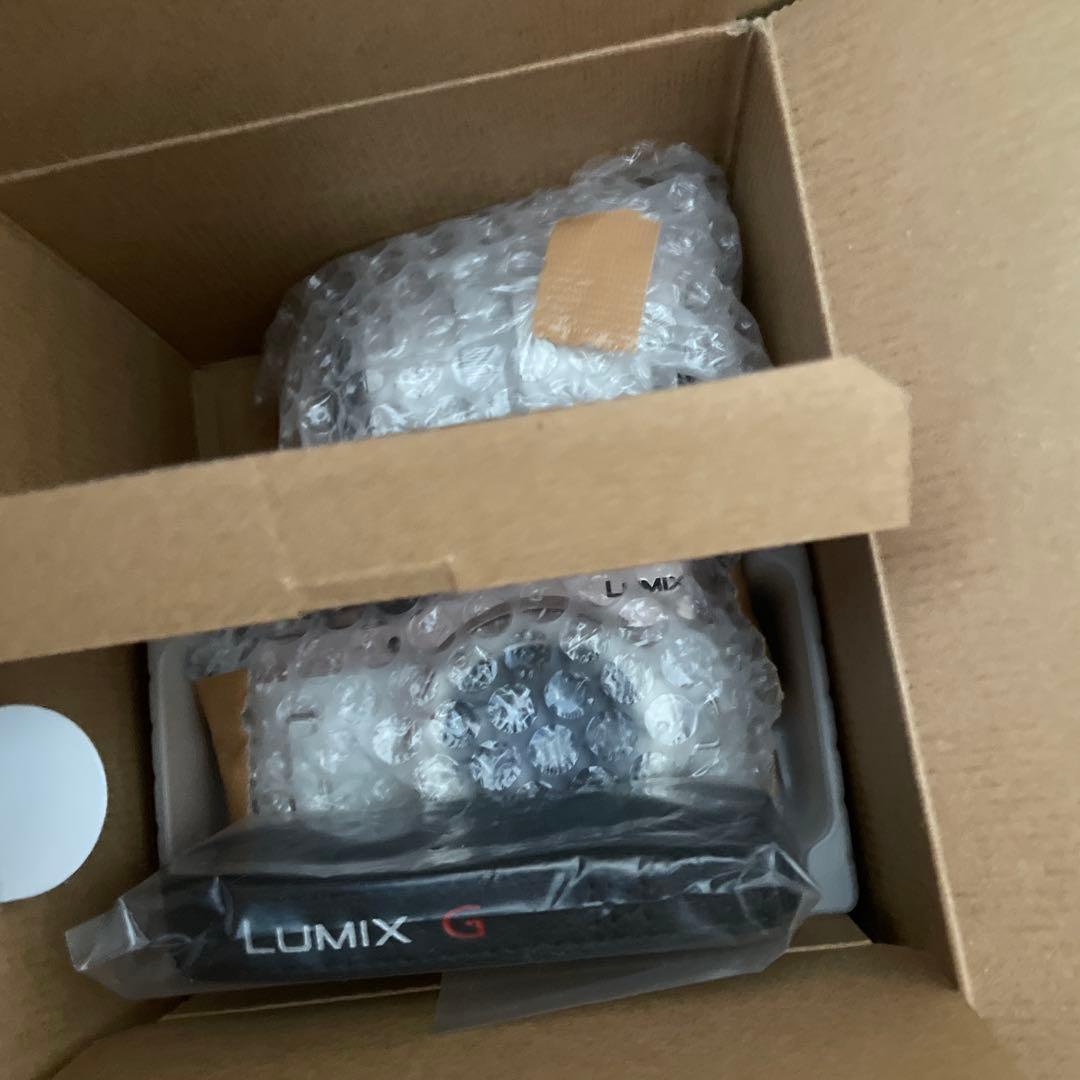 中古美品 パナソニック LUMIX G DC-GF10W 4K 専用カバー付き