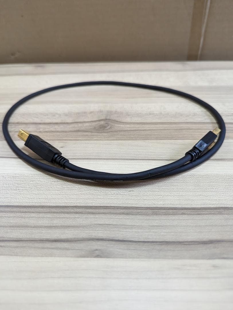 EVE AUDIO SC203　モニタースピーカー