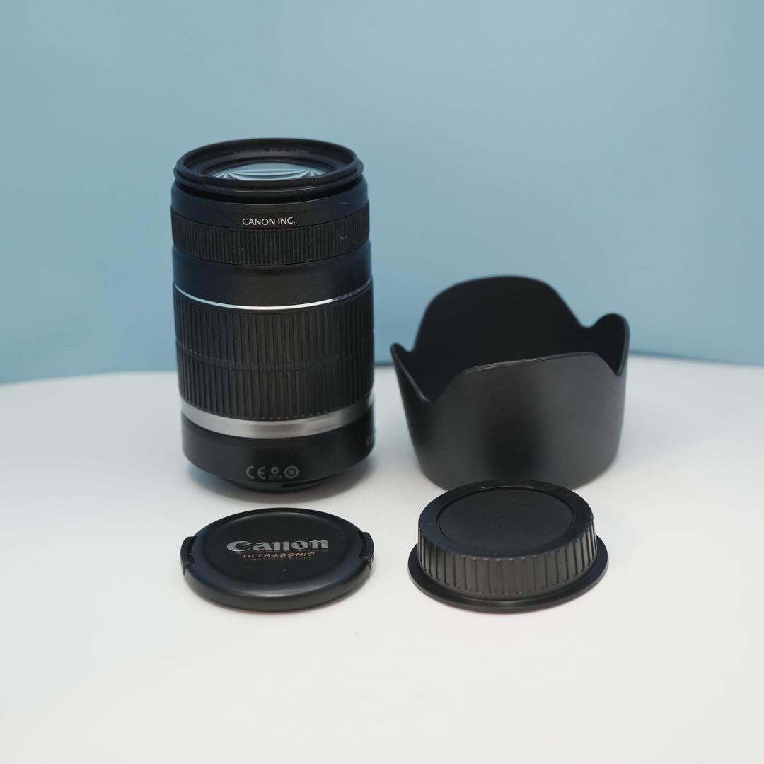 Canon純正 55-250mm 望遠レンズ a4510