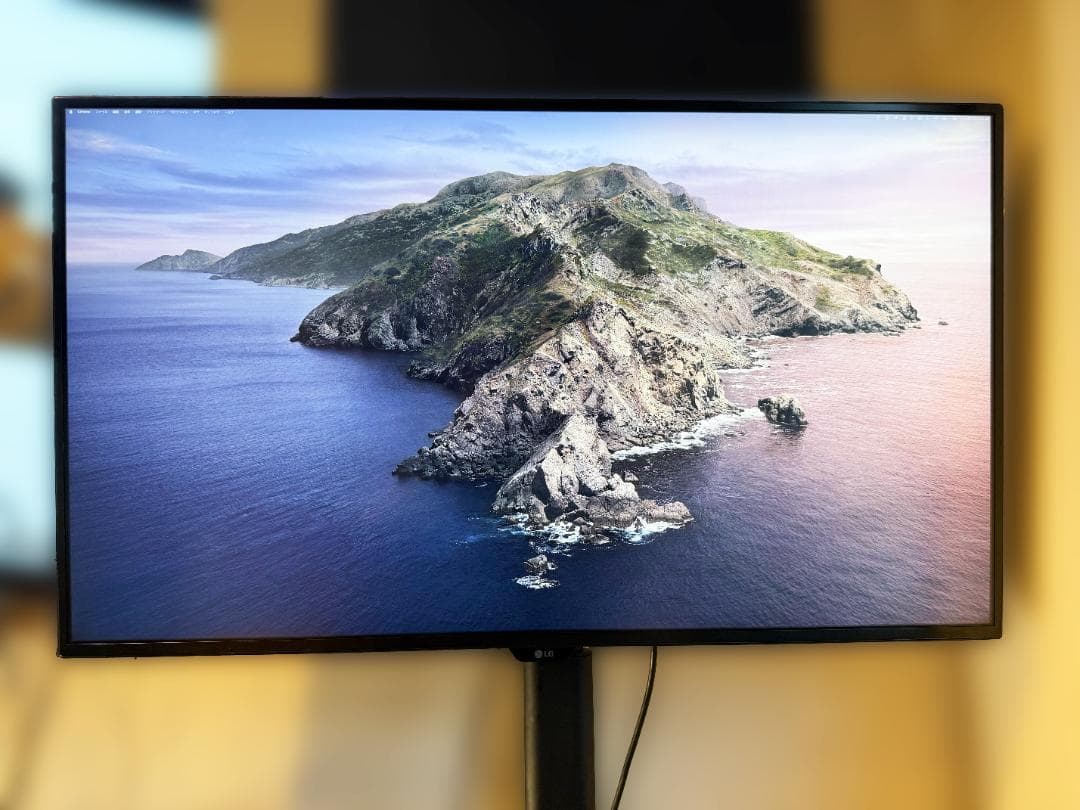 LG 43UD79T-B 42.5インチ 4Kモニター