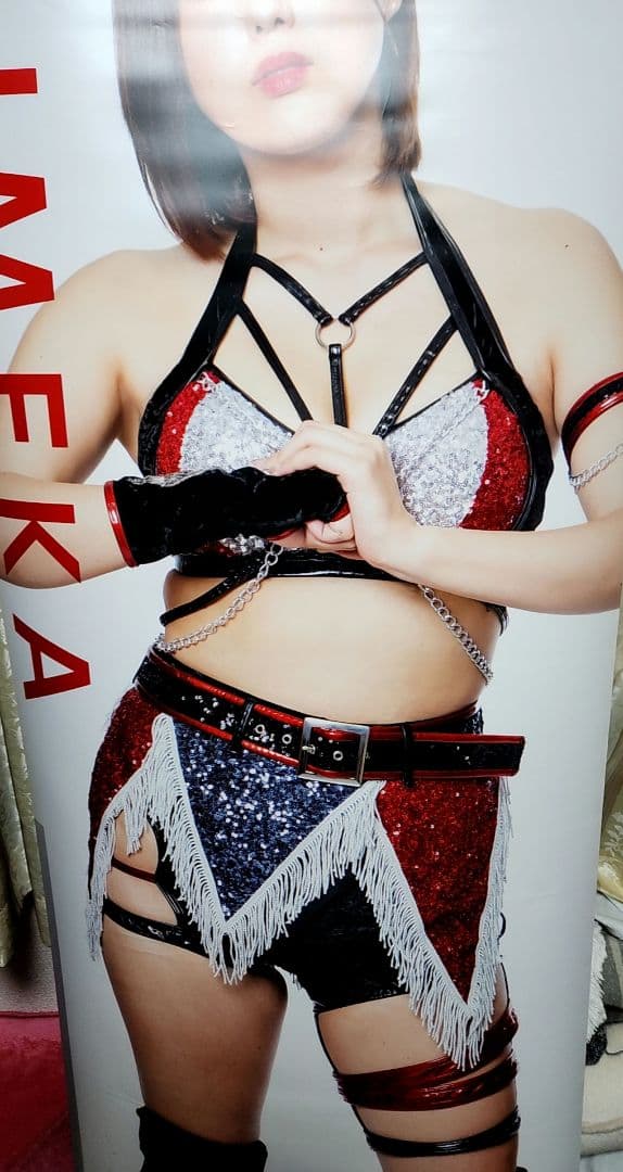 女子プロレス　スターダム　ひめか　等身大 タペストリー　中古品