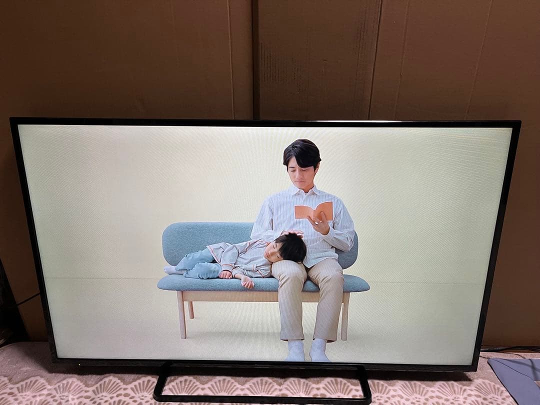 【引取要】Panasonic TH-49D300 2016年製49V型液晶テレビ