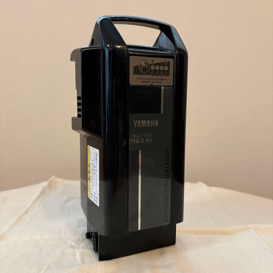 自転車充電器　バッテリーセット