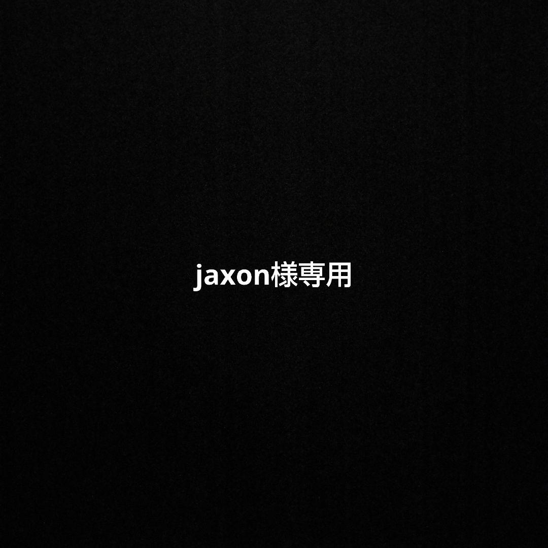 ビデオカメラ jaxon