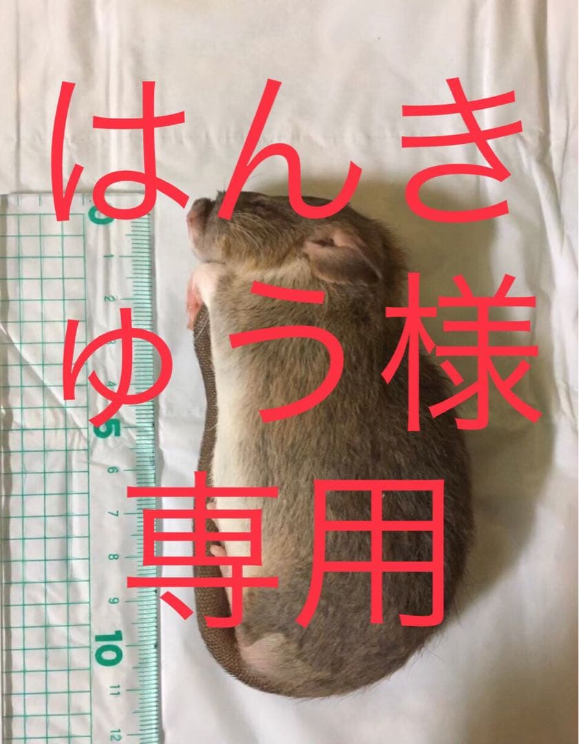 冷凍PS20 ADM60 SM30