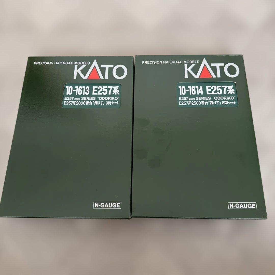 10-1613 10-1614 E257系「踊り子」