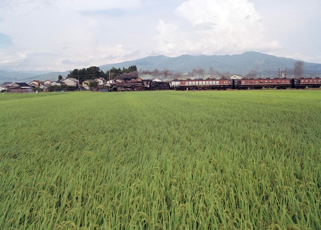 【実写確認整備済】マミヤM645／セコールズーム55mm-110mmCds-F付