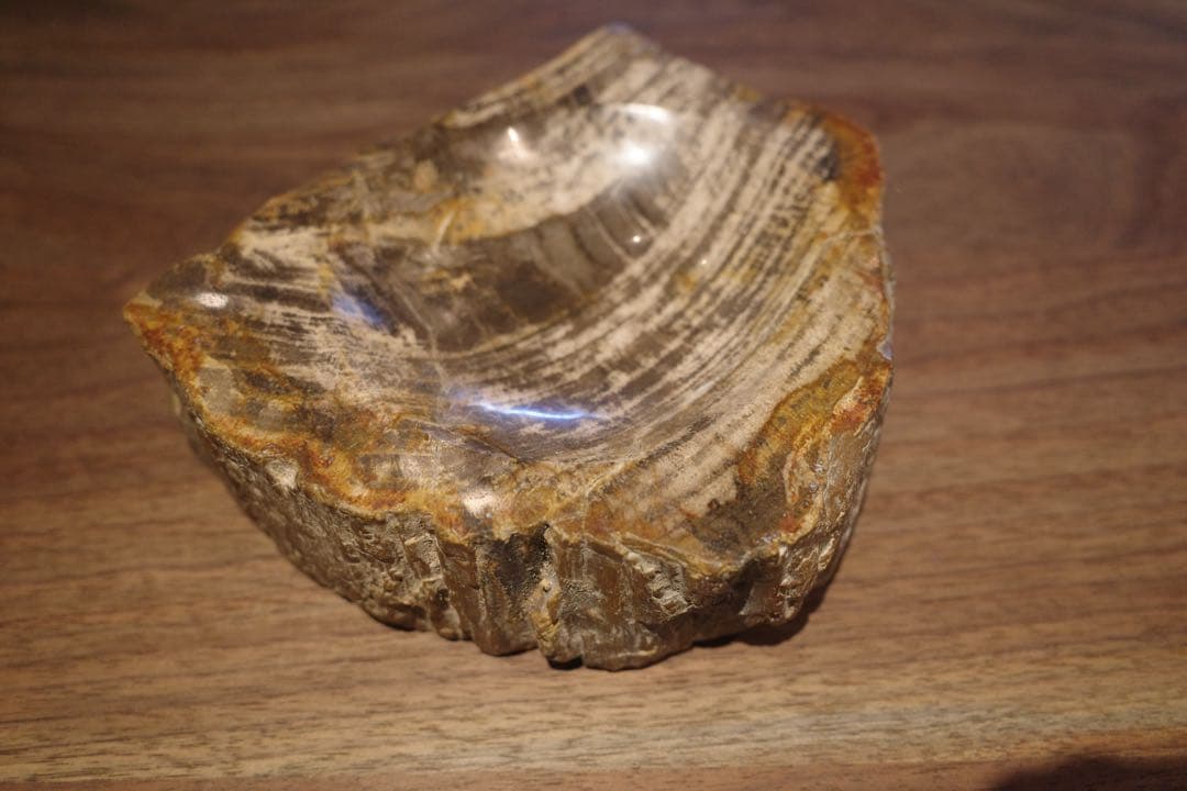 OAK 珪化木トレー