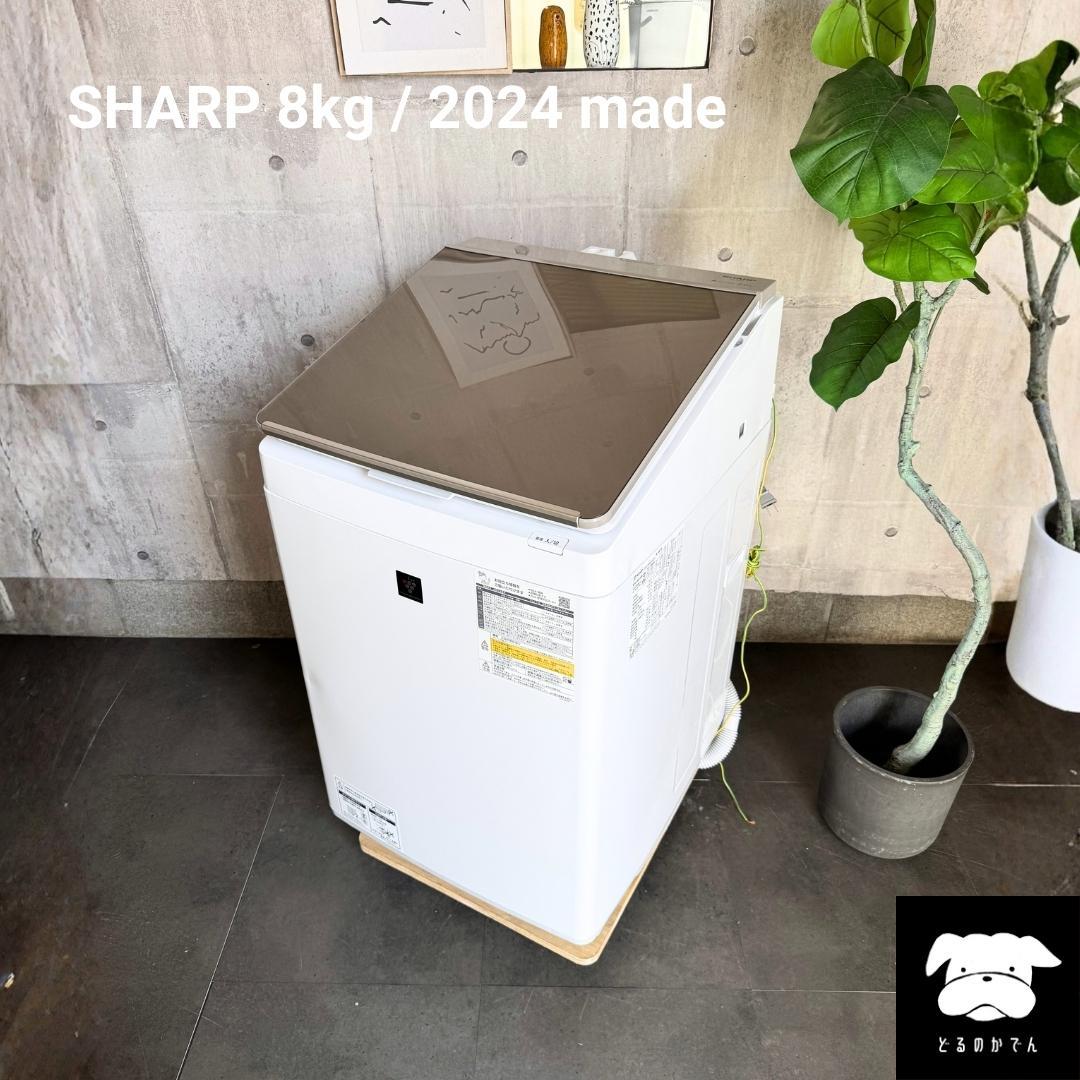 設置まで✨ SHARP 一人暮らし用洗濯機 8kg✨ 2024年製⭕️