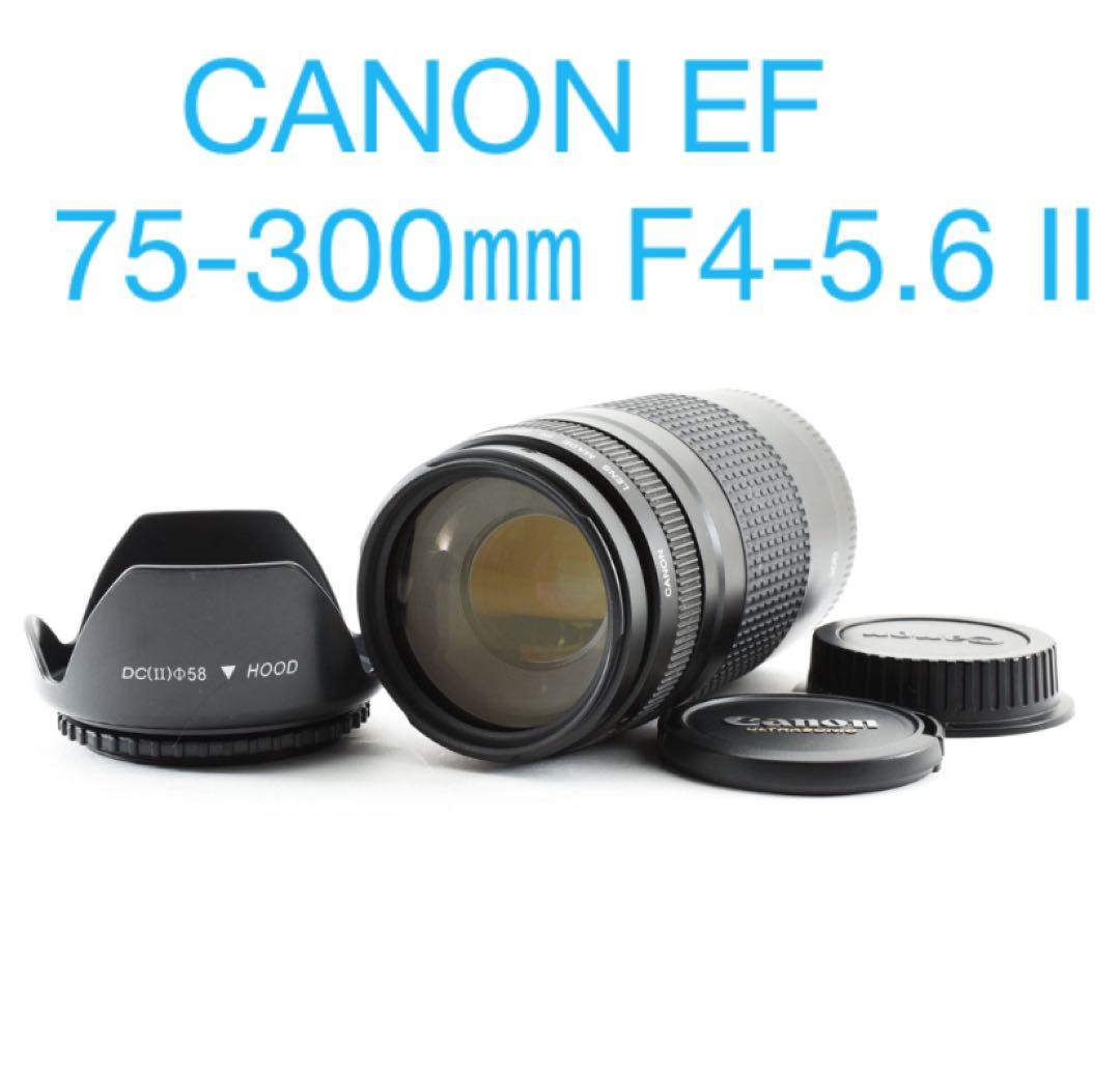 フルサイズ対応 CANON EF 75-300㎜ F4-5.6 II