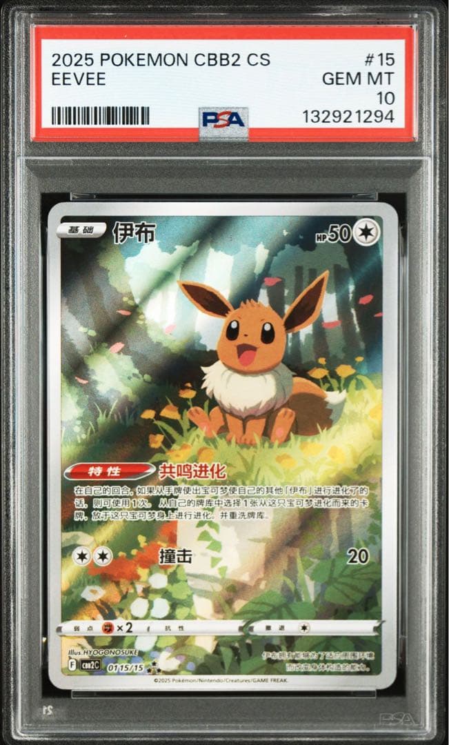 イーブイ　中国　AR PSA10