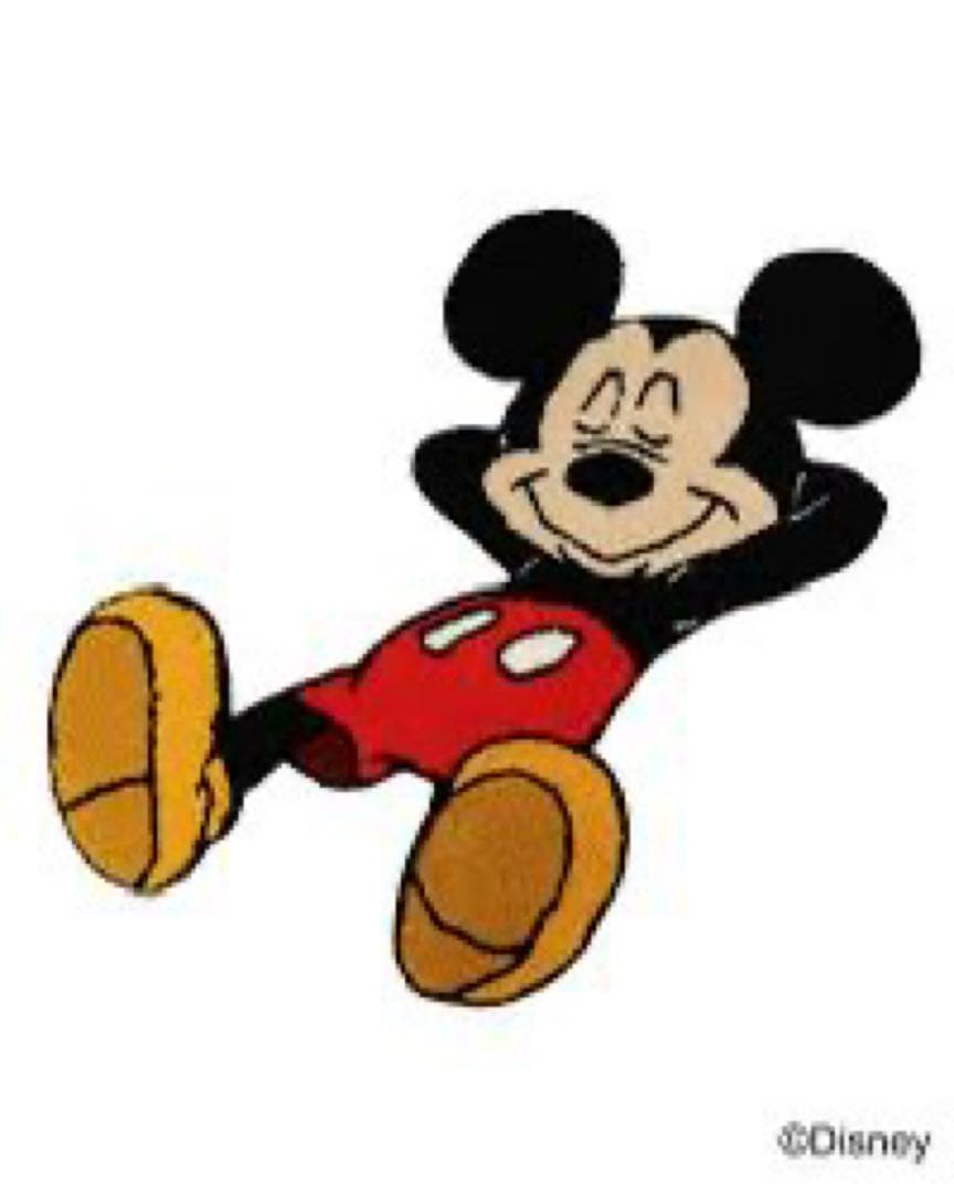 し*こ様 miyoshi rug 三好ラグ　ミッキー