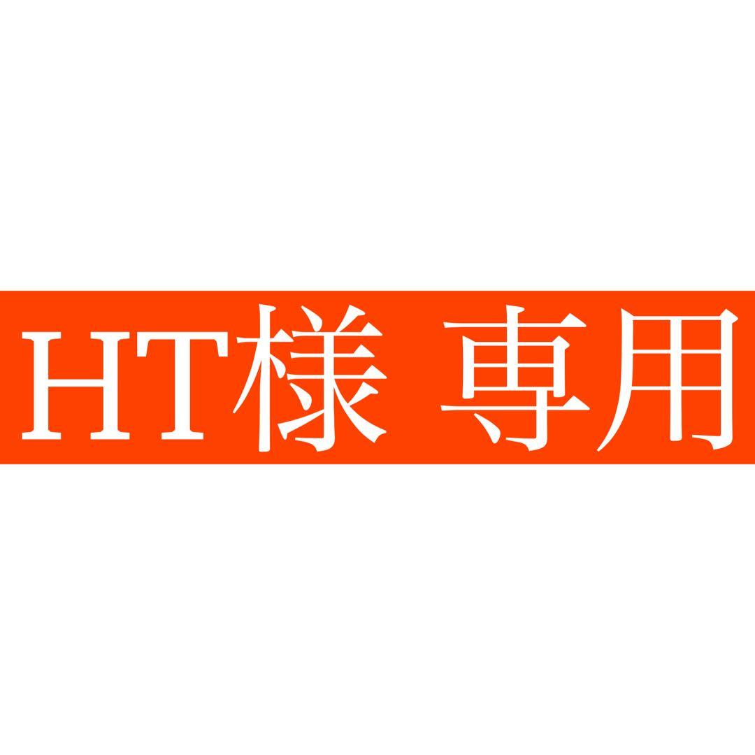 【HT】FLUX XF M-Lサイズ AH