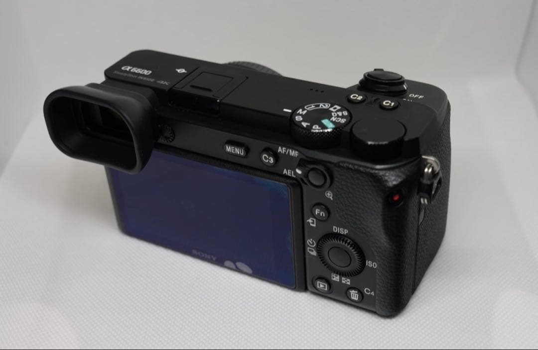 SONY α6600 ミラーレスカメラ 本体 バッテリー付き