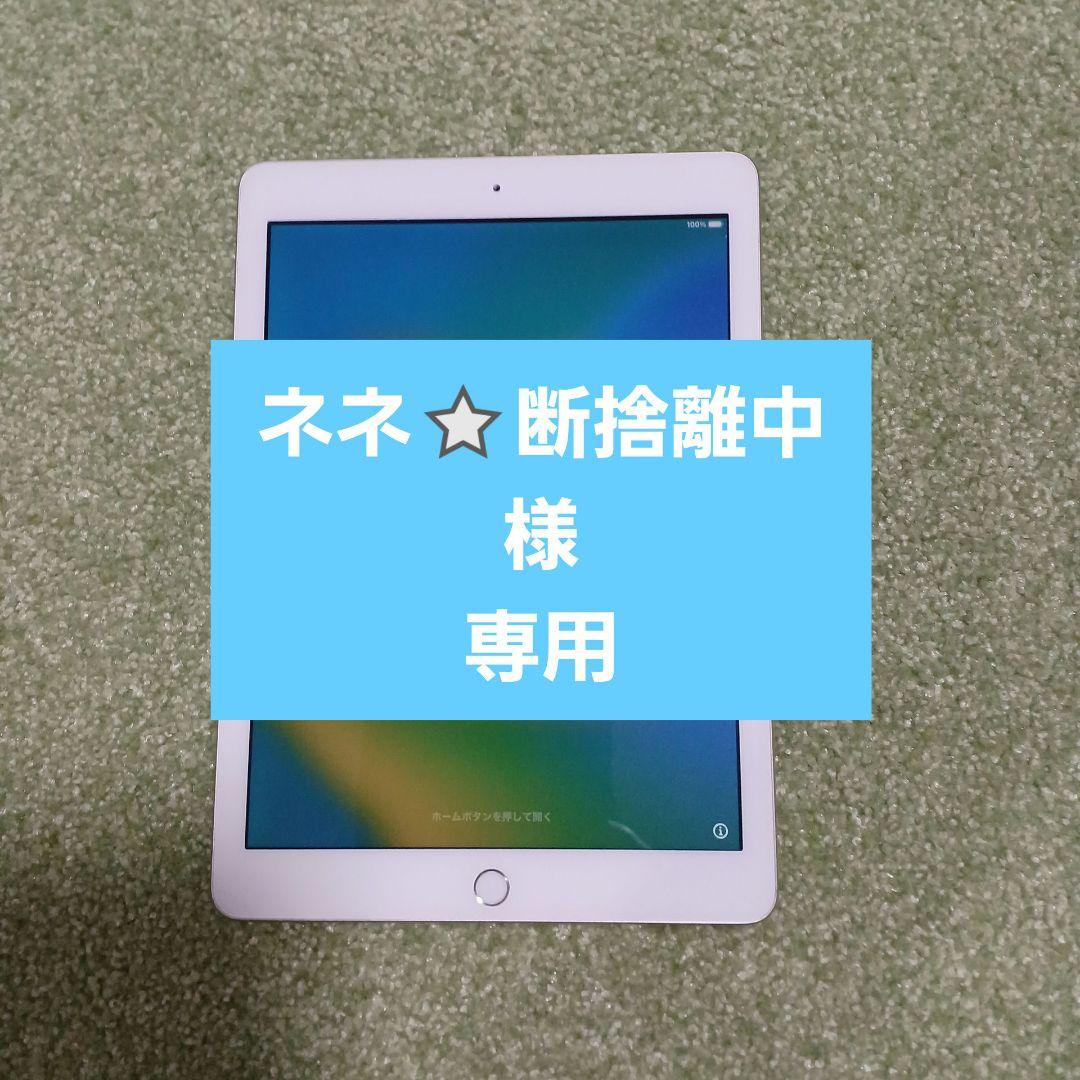 iPad 5 ネネ⭐断捨離中