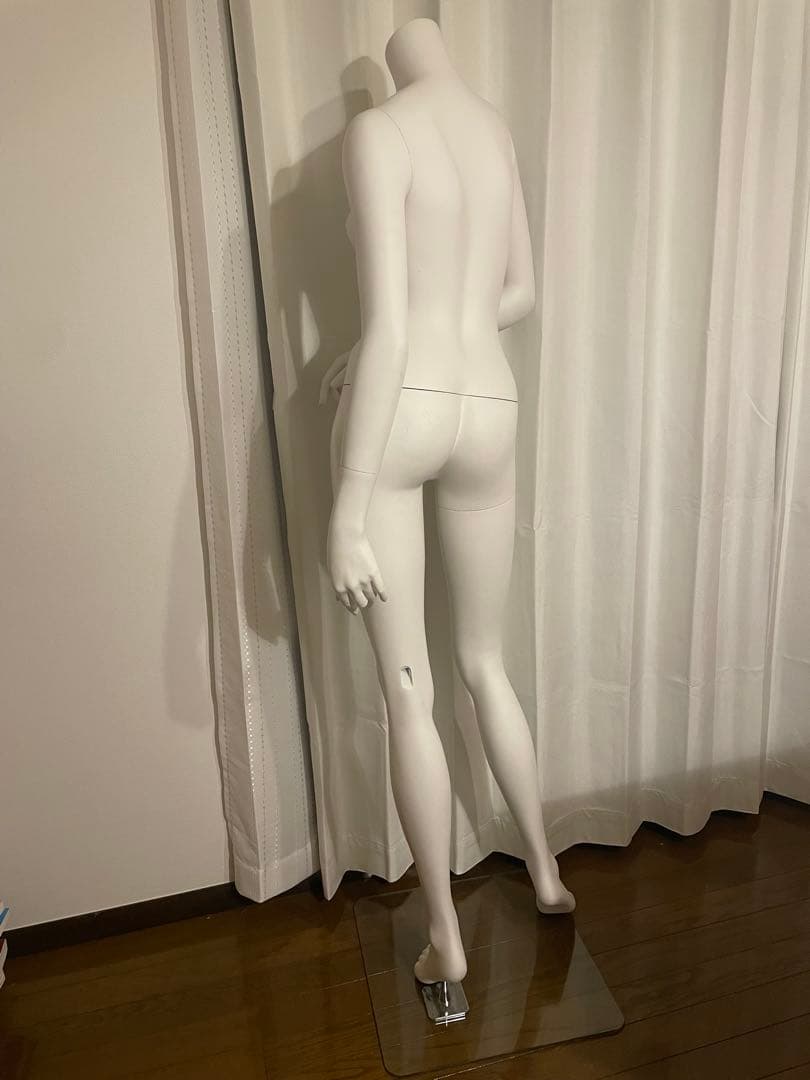 レディースマネキン　スレンダー