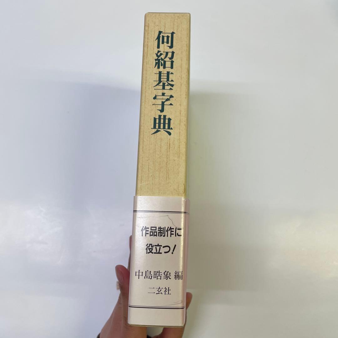 二玄社　何紹基辞典 中古
