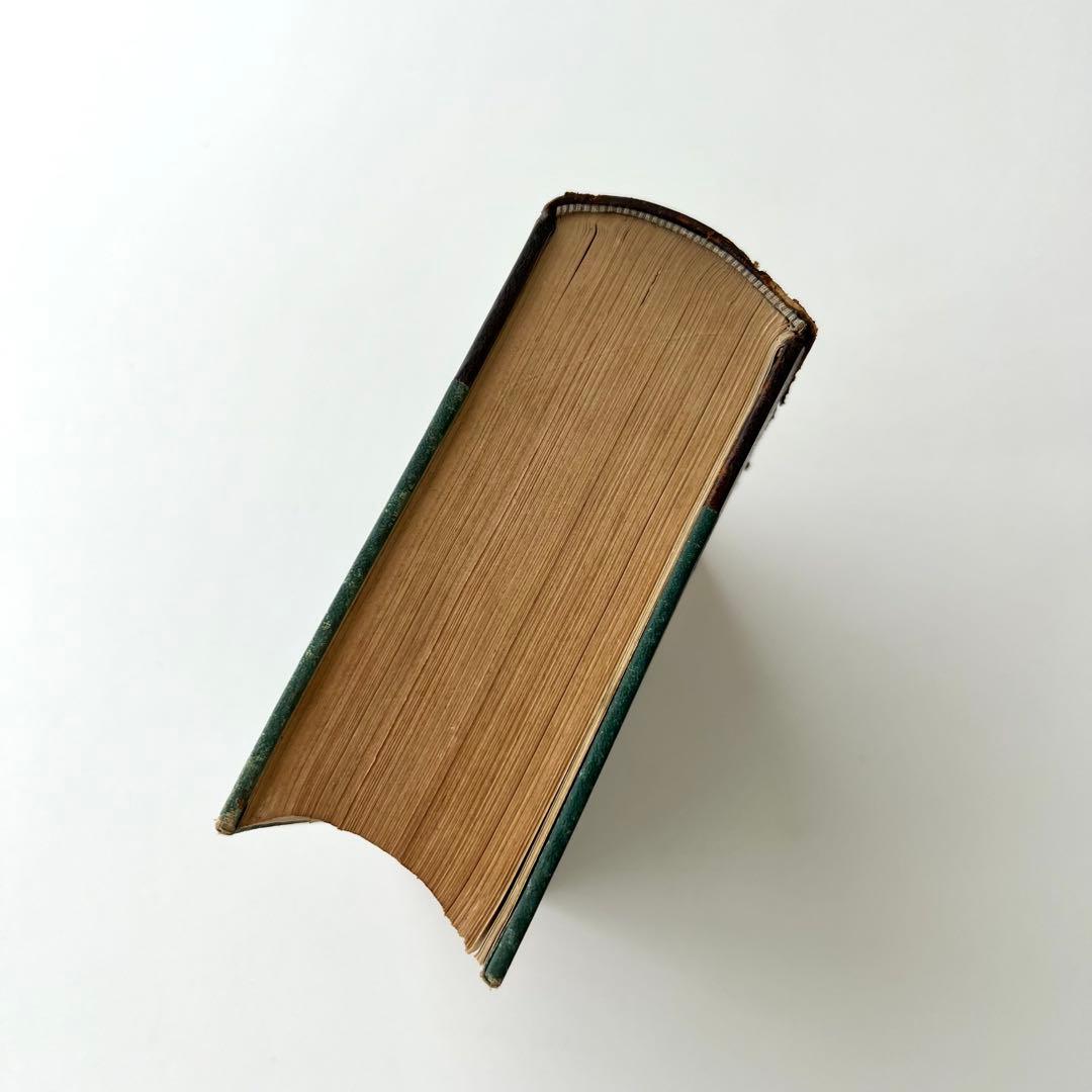 日本植物図鑑　牧野富太郎　北隆館　1925年初版