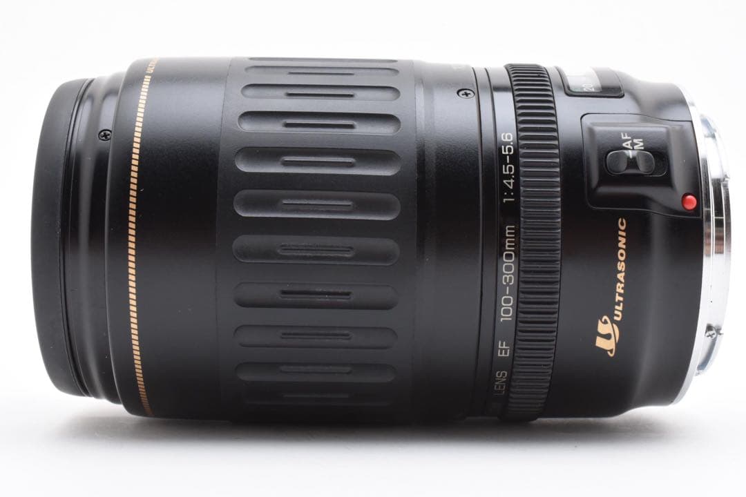 キャノン望遠レンズ Canon EF 100-300mm F 4.5-5.6