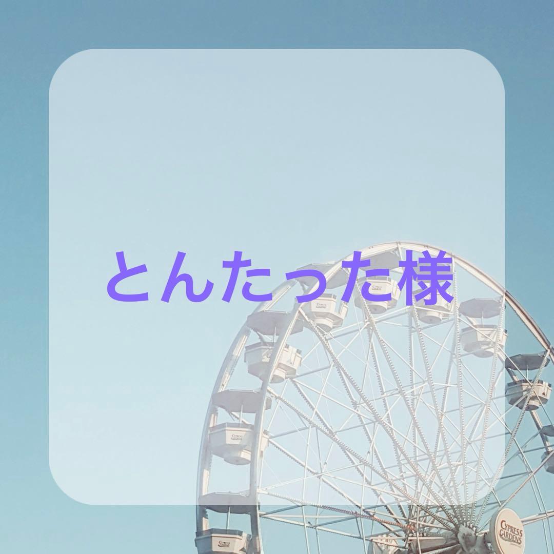 〈とんたった様〉ウィッグオーダー専用ページ
