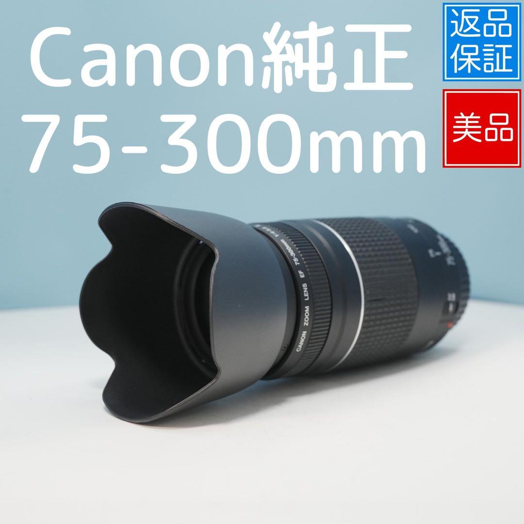 Canon純正 75-300mm 望遠レンズ 美品 a4687