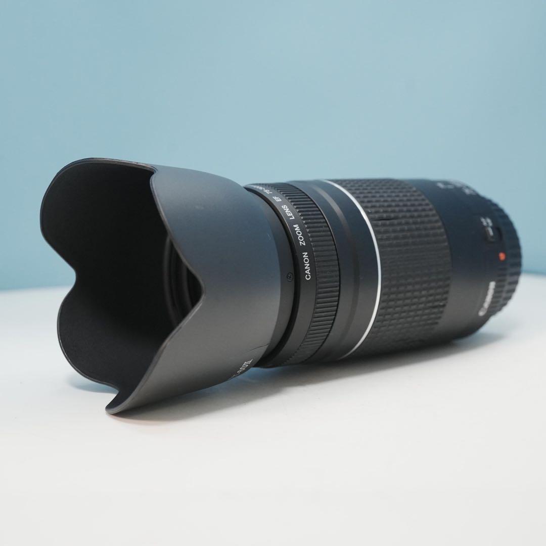 Canon純正 75-300mm 望遠レンズ 美品 a4687