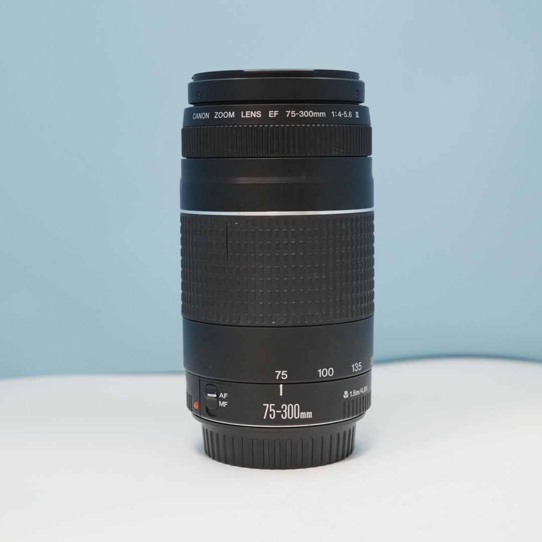 Canon純正 75-300mm 望遠レンズ 美品 a4687
