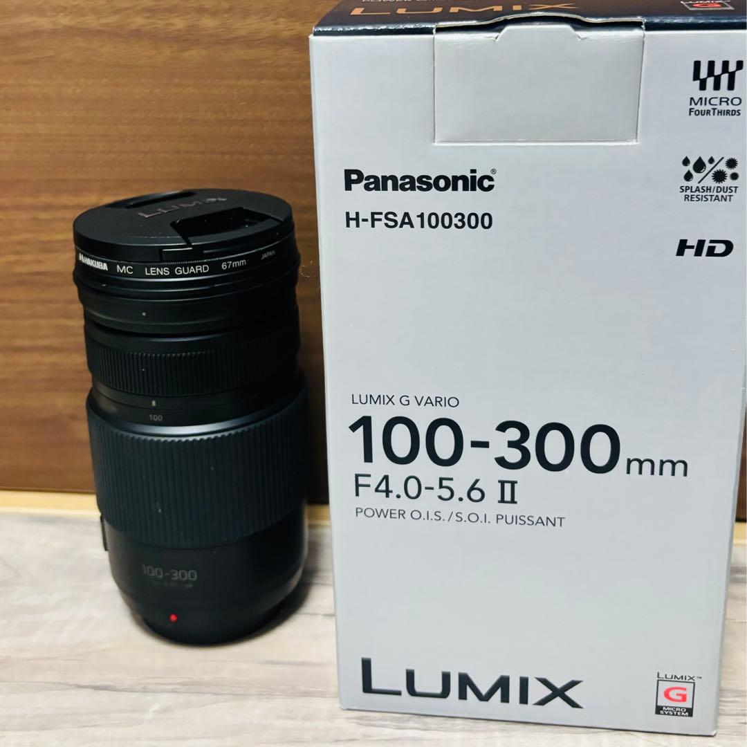 LUMIX G VARIO 100-300mm / F4.0-5.6 Ⅱ