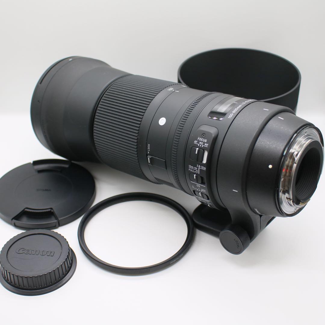 シグマ150-600mm Contemporary キヤノンEFマウント