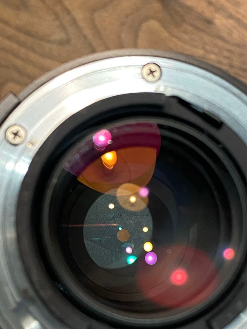 LUMIX G1 ミラーレス一眼　ニコンシリーズE 70-210 動作品　望遠