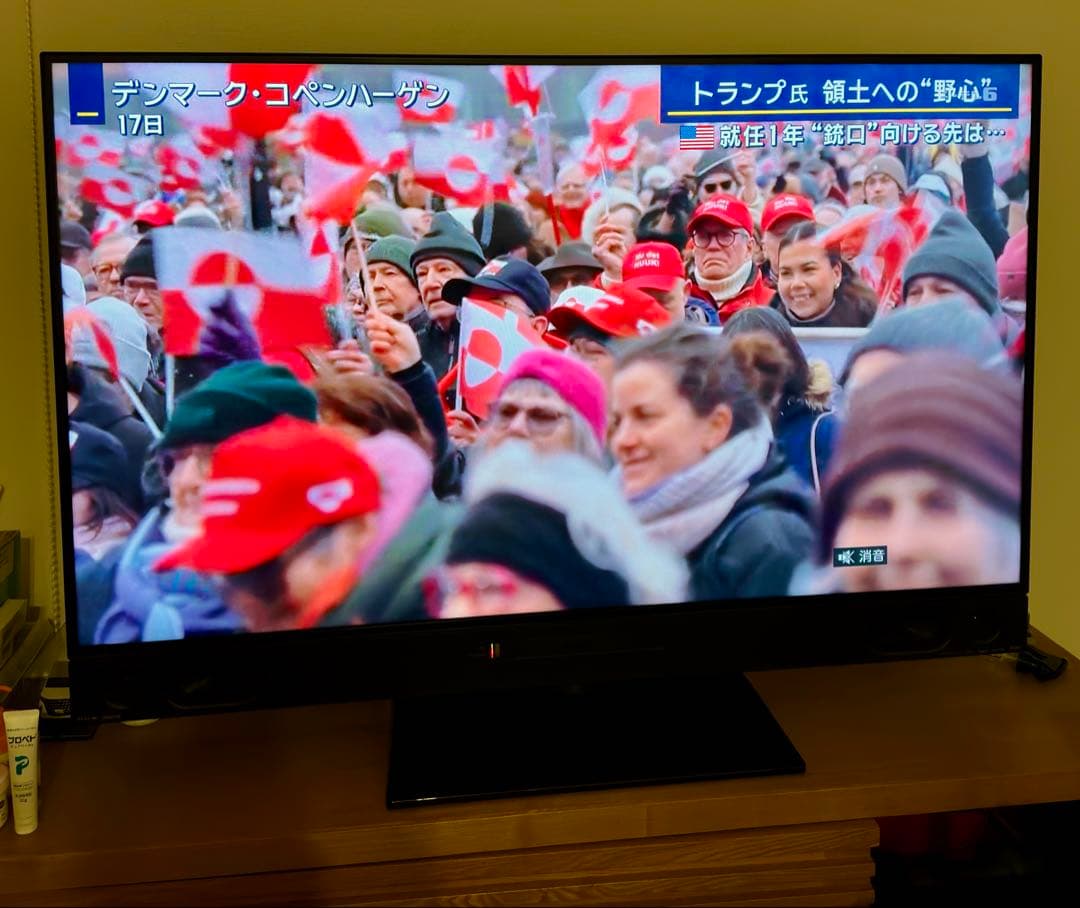 三菱電機 58型 4K液晶テレビ REAL HDD2TB＋Blu-ray内蔵