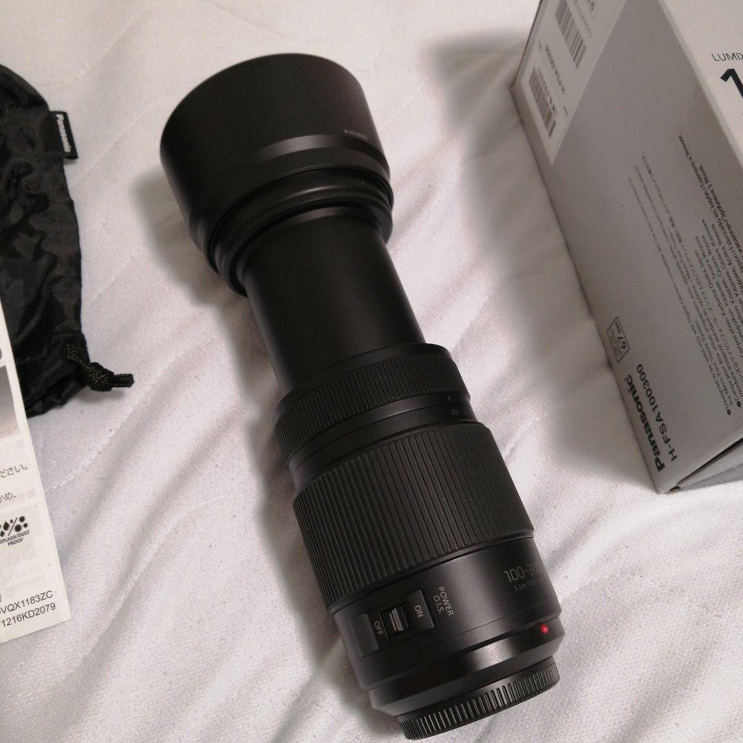 Panasonic H-FSA100300 100-300mm ズームレンズ