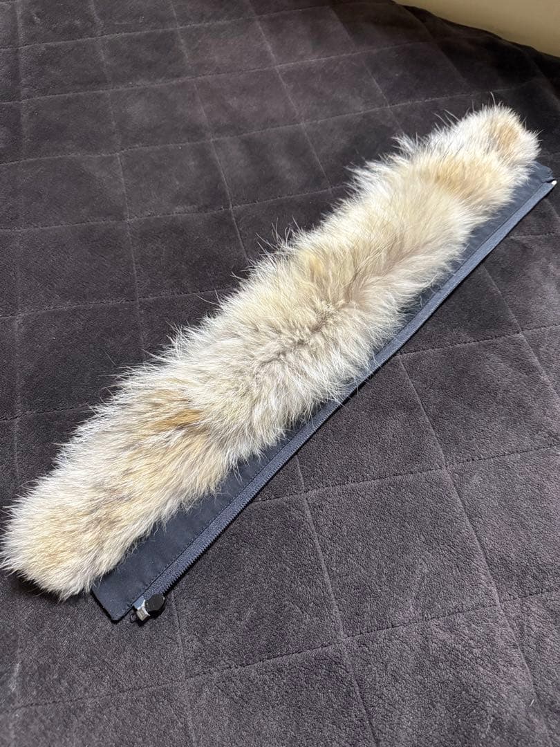 カナダグース　貴重　コヨーテファー　廃盤　XSサイズ　ブラック　レディース