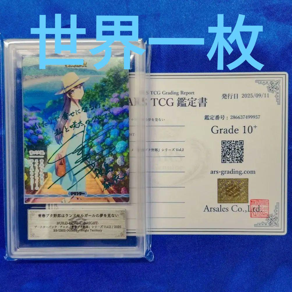 N*Y様 ARS10+　ビルディバイド　桜島麻衣　BT 青春ブタ野郎シリーズ