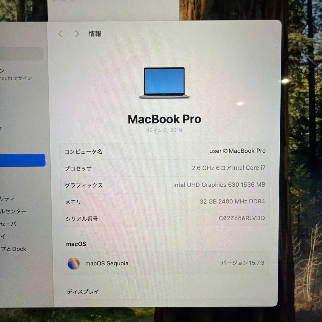 MacBook本体 MacBook Pro (2019) Intel i7 32GB