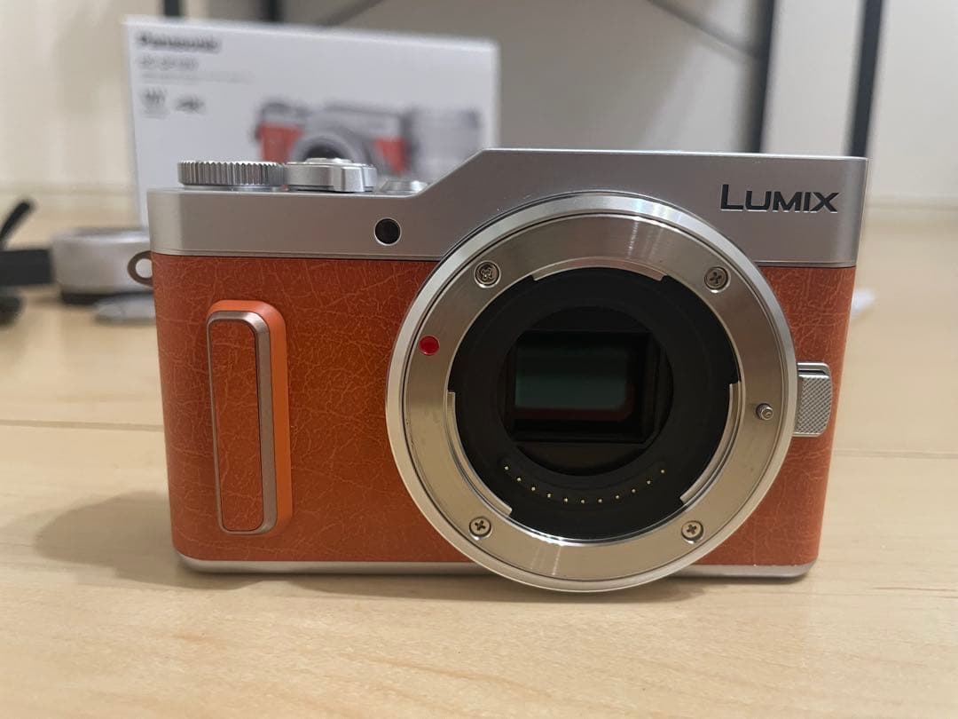 Panasonic LUMIX G ミラーレスカメラ 4K対応