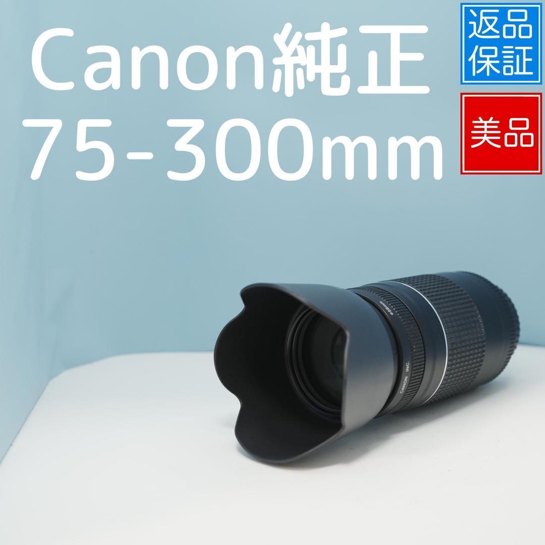 Canon純正 75-300mm 望遠レンズ 極美品 a4184