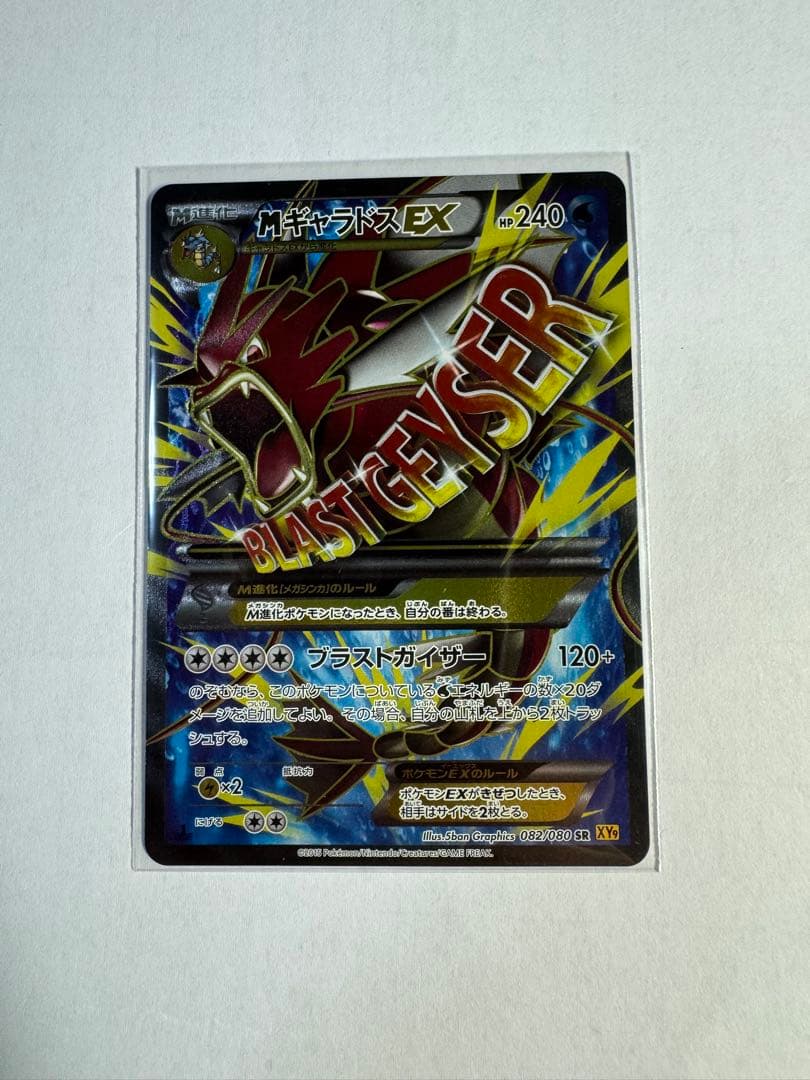 かいかいさん専用MギャラドスEX SR XY9
