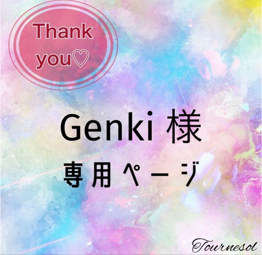 14kgf 天然石 一点物 モンタナアゲート 大ぶり ピアス イヤリング
