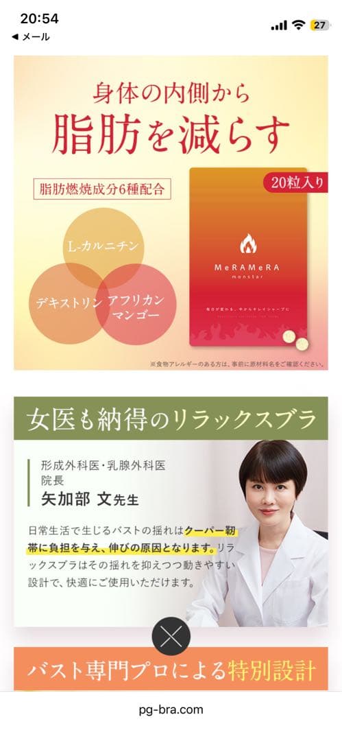 PGブラ ノンワイヤー ブラック2枚セット