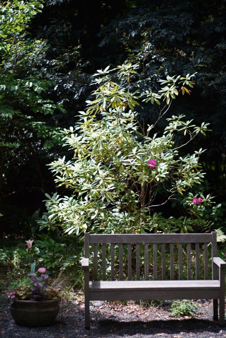 【分解清掃済】Nikon NIKKOR-H.C Auto 85mm f1.8