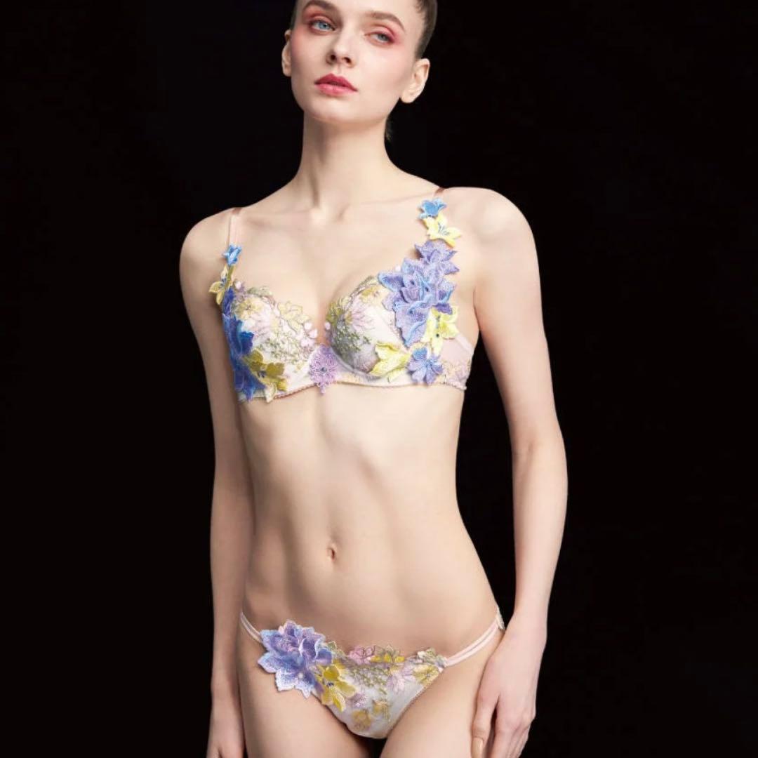 【新品】サルート25g 限定復刻デザイン ブラジャー&ショーツ IV E65