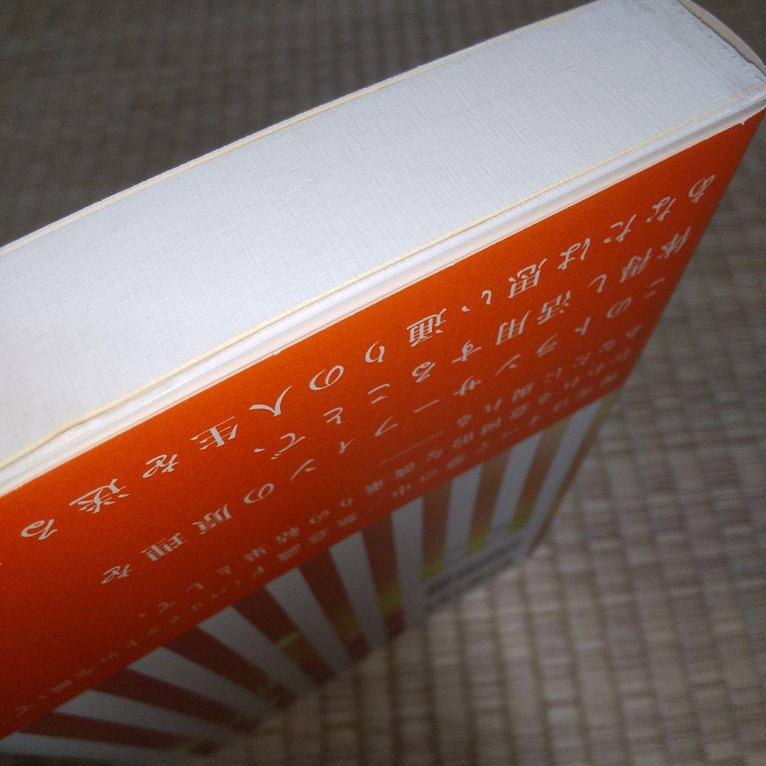 超スピリチュアルな夢実現　トランサーフィン　鏡の超法則　ヴァジム・ゼランド