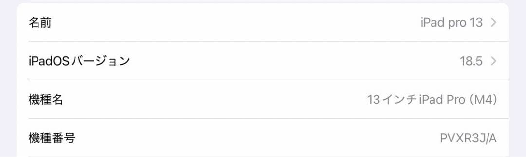 【充放電30回】13インチiPadPro（M4)＋PencilPro＋ケース等