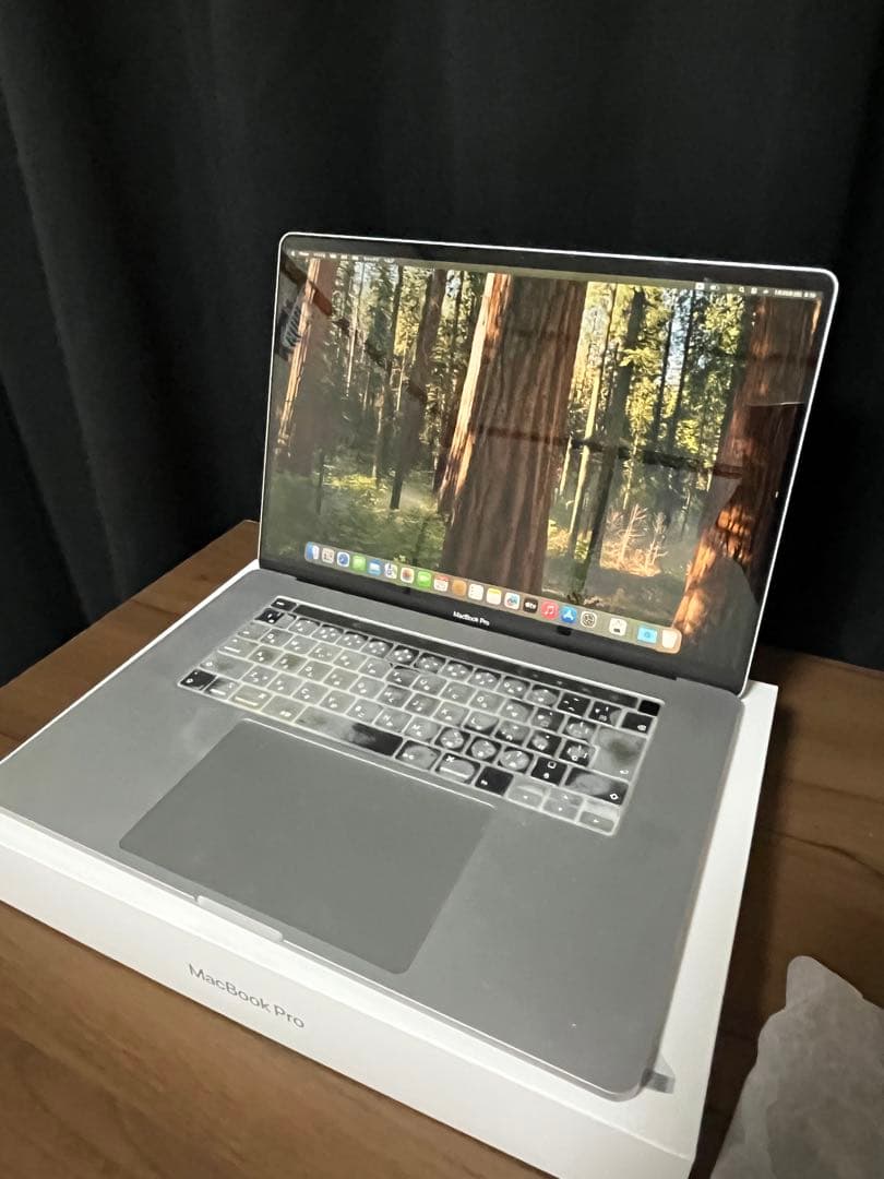 【美品】箱有 MacBook Pro 16インチ 2019 16GB 512GB