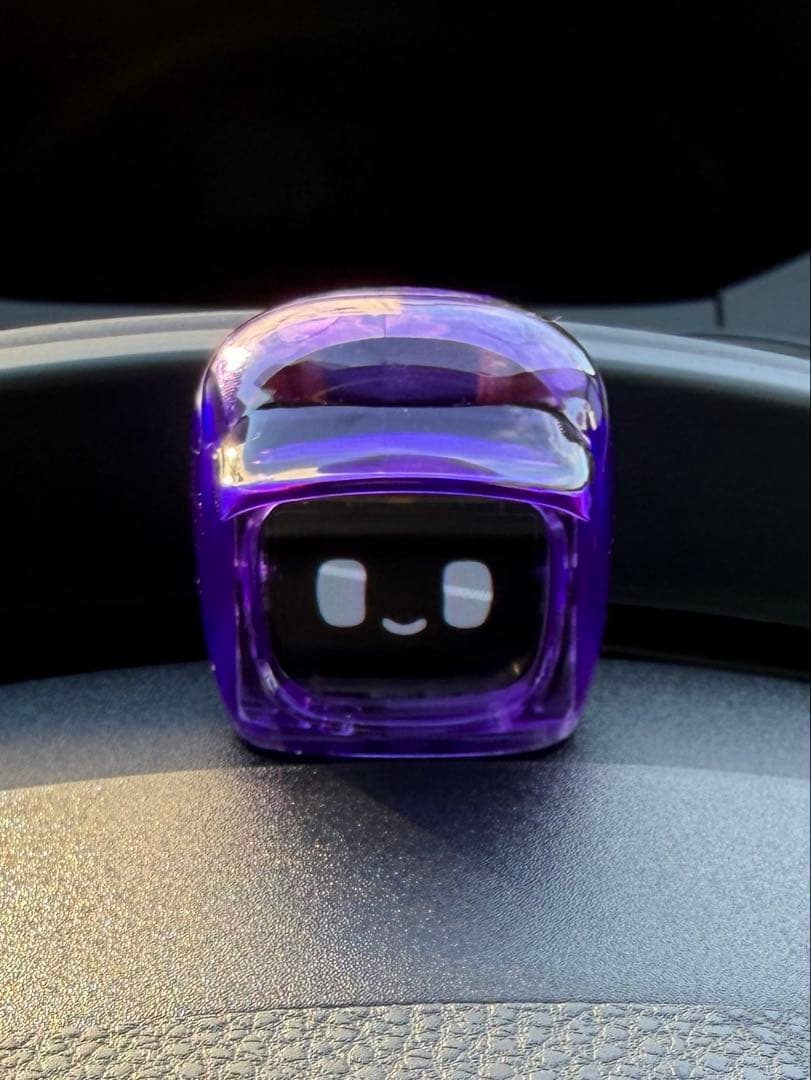 k*様 ダサイもち3 FUTURES MOCHI クリアパープル　限定版