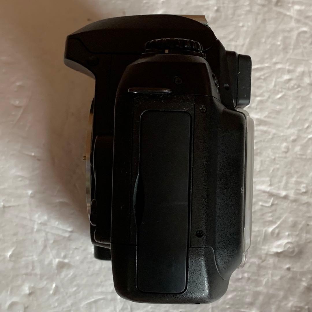 ニコン Nikon D100 デジタル1眼カメラ