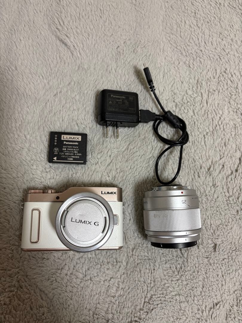 Panasonic Lumix G ミラーレスカメラ 12-32mm