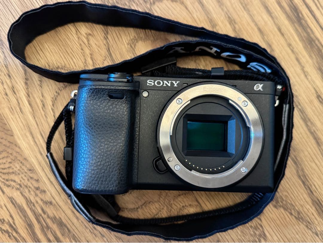 【撮影513枚のみ】SONY ソニー α6400 ボディILCE-6400 本体